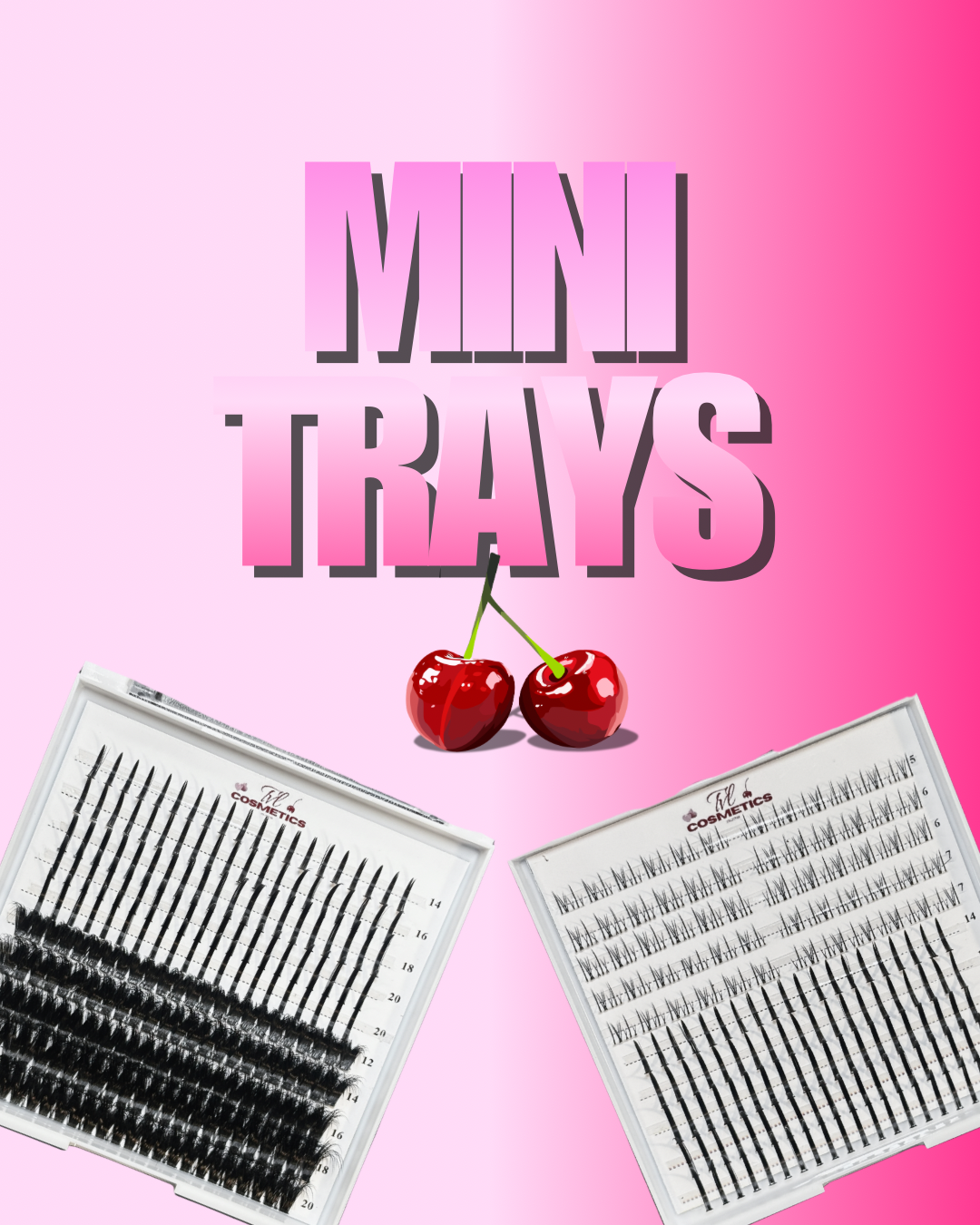 Mini Trays